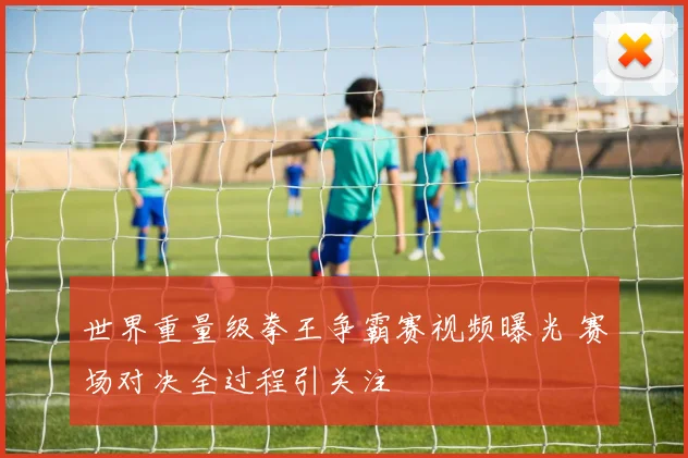 世界重量级拳王争霸赛视频曝光 赛场对决全过程引关注